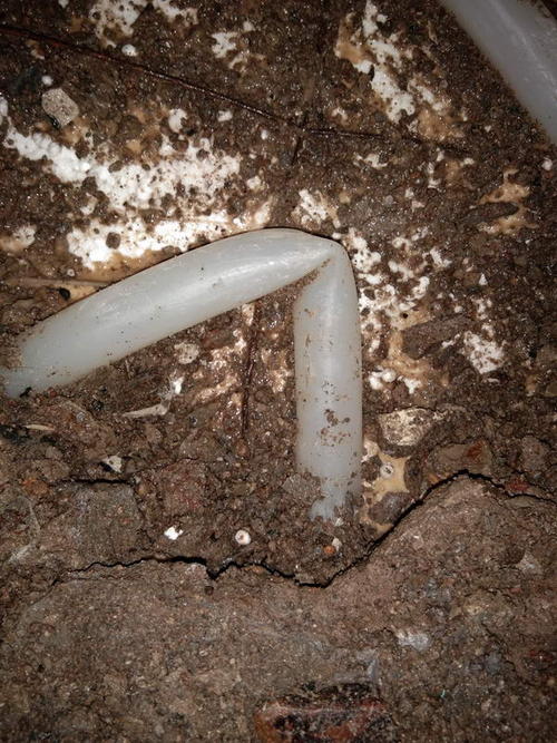 柳林堵点精准查找