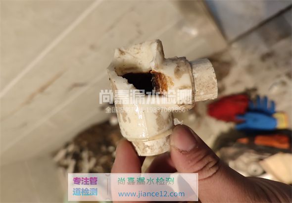 柳林引起漏水的原因有哪些？